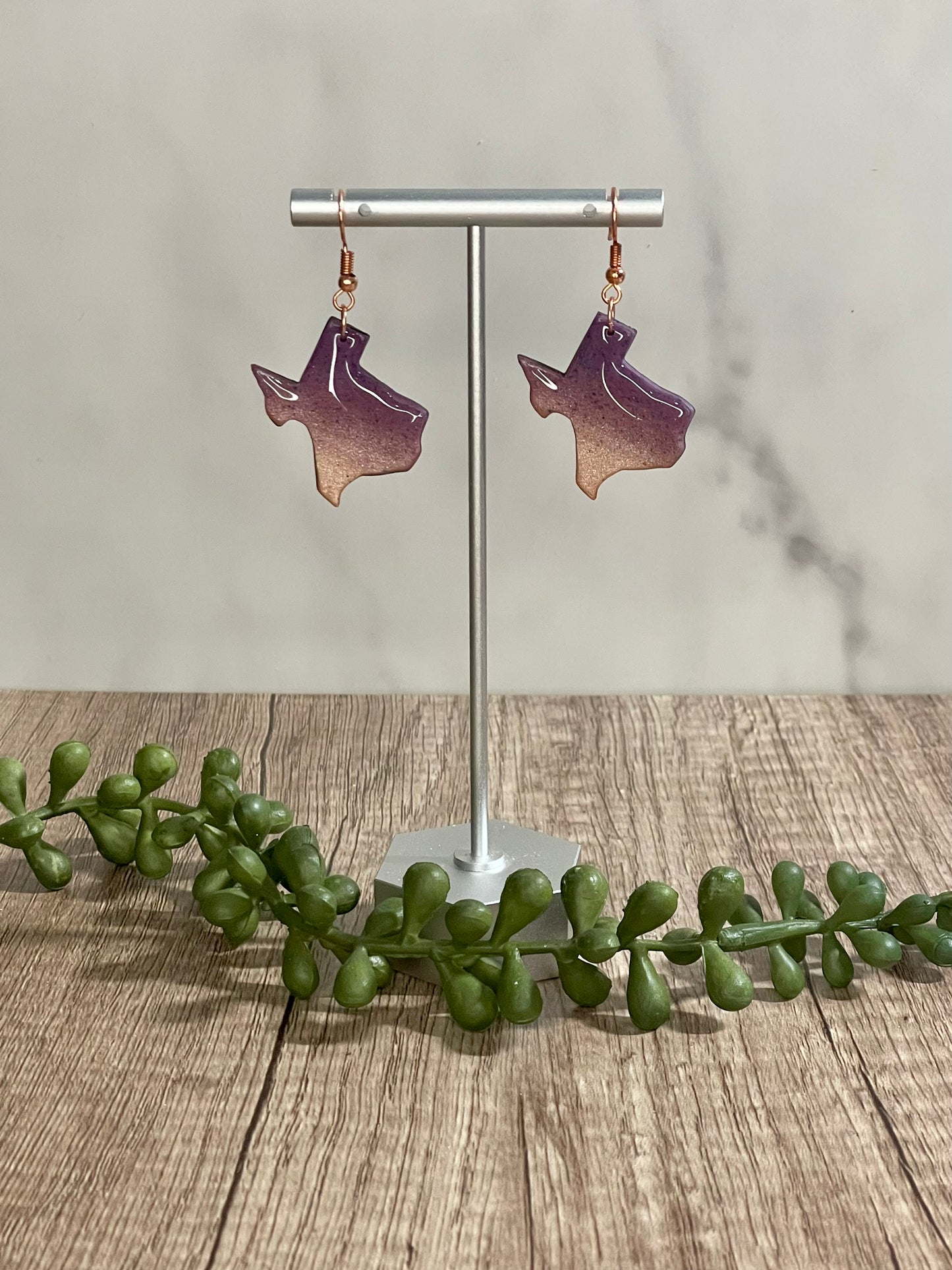Assorted Texas earrings