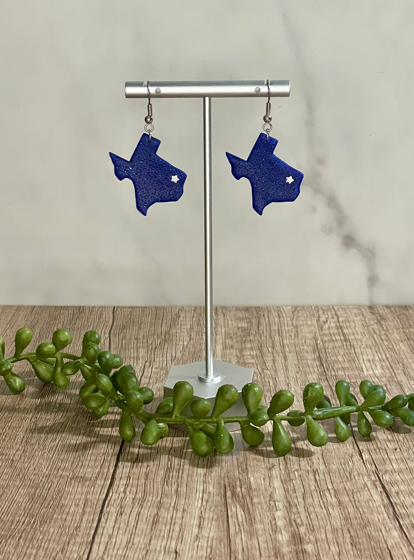 Assorted Texas earrings