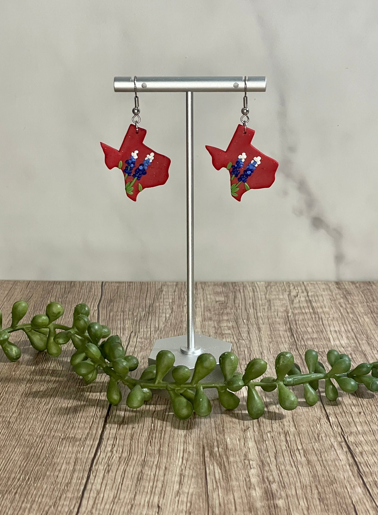 Assorted Texas earrings