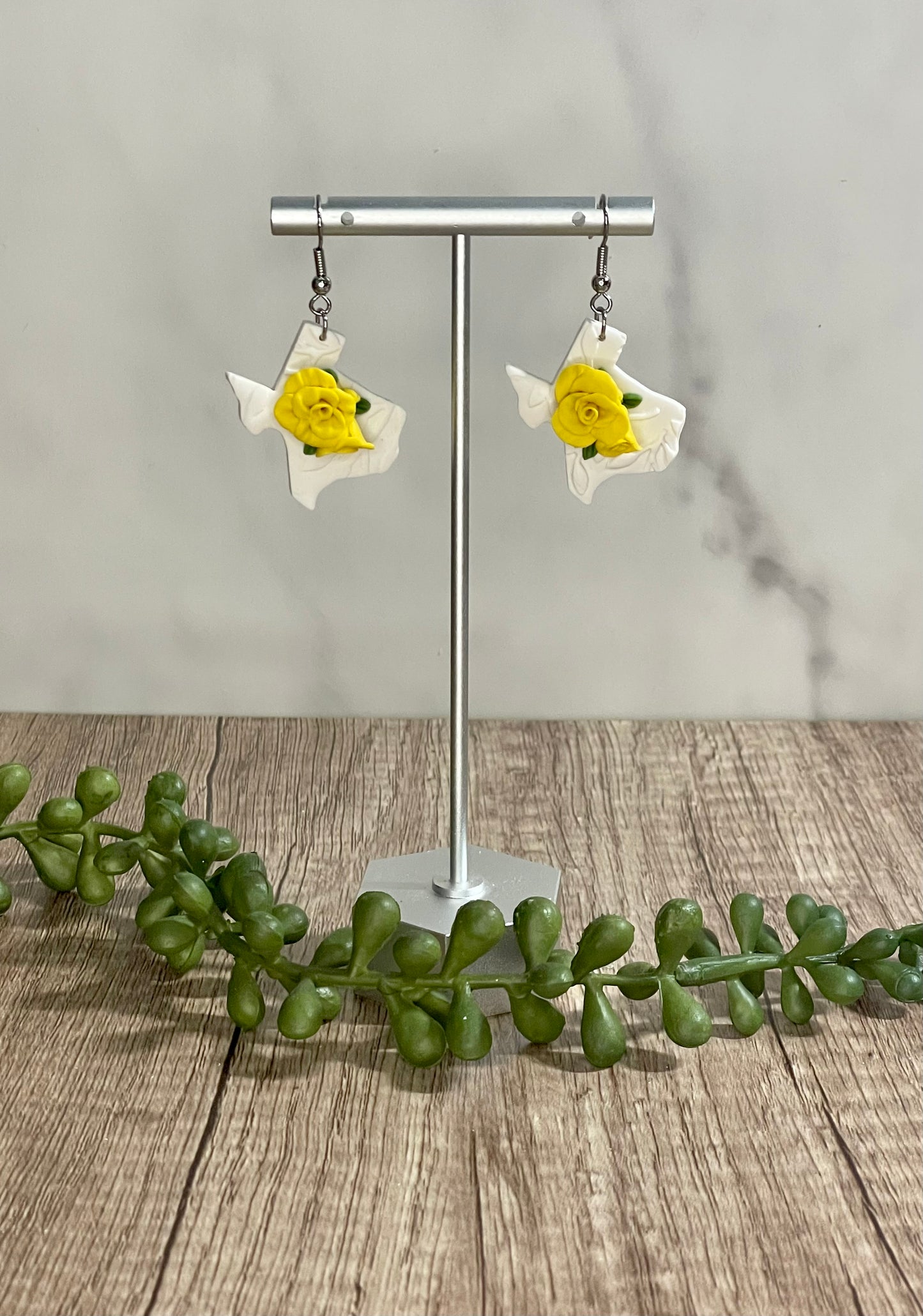 Assorted Texas earrings