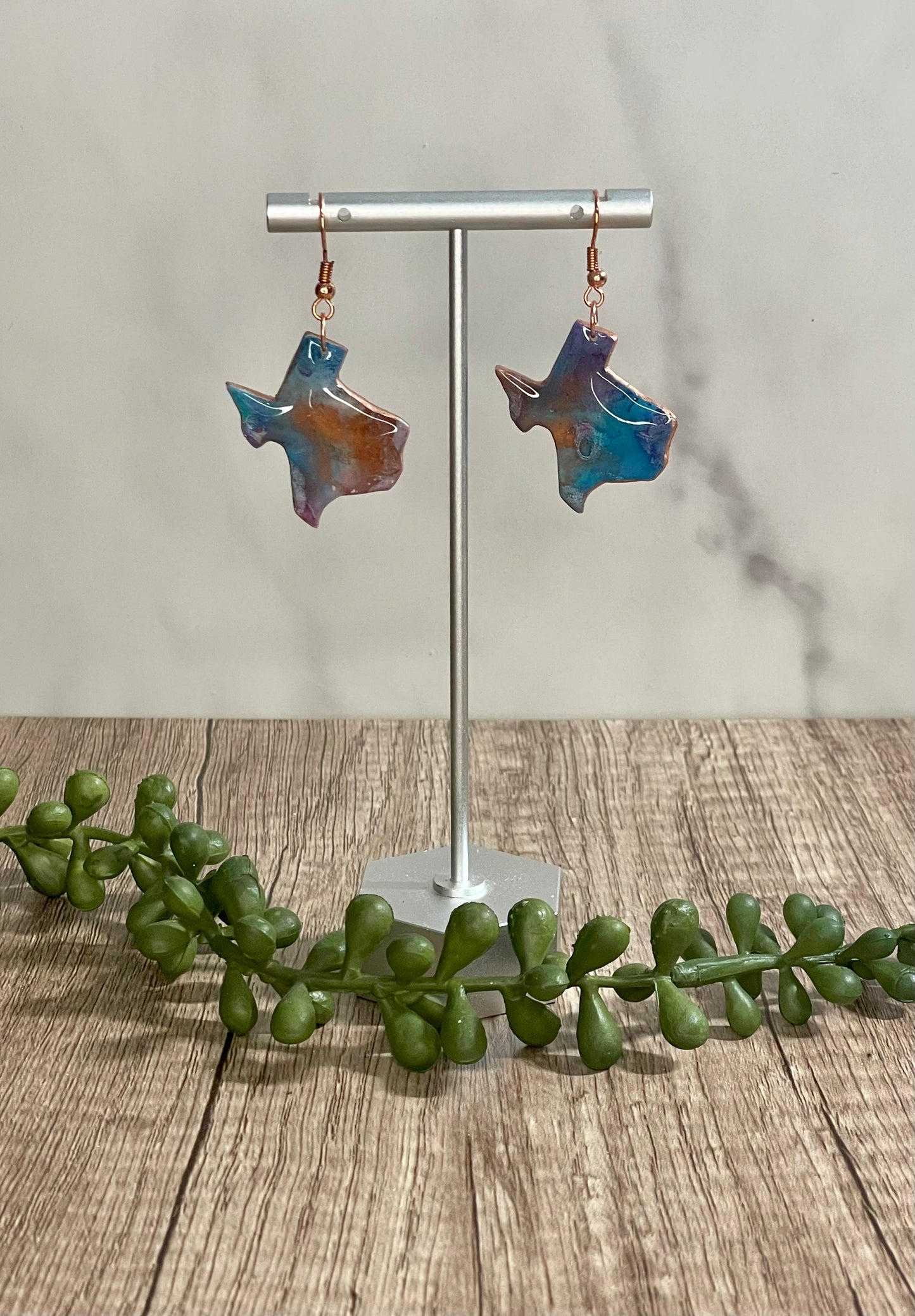 Assorted Texas earrings